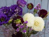 Bouquet » blue Night »
